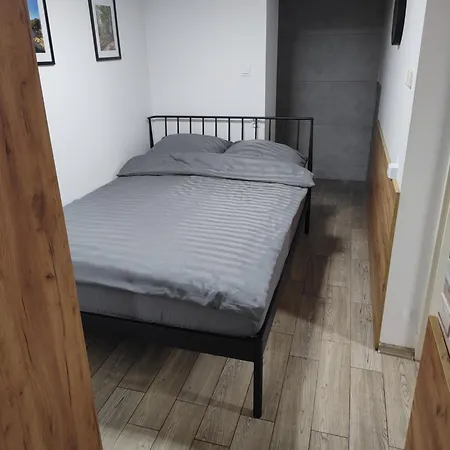 Apartamenty Ustron Проживание в семье Устронь